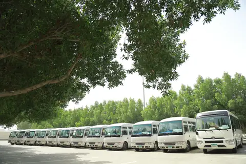 A line of white minibuses parked under trees