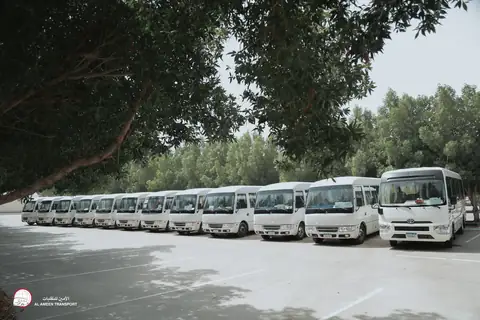 A long line of white minibuses in the shade of trees
