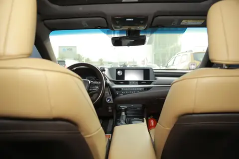 The tan leather cabin of a Lexus, from the rear seat