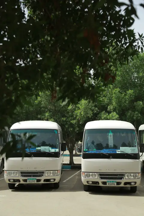 Two white minibuses head-on beneath trees