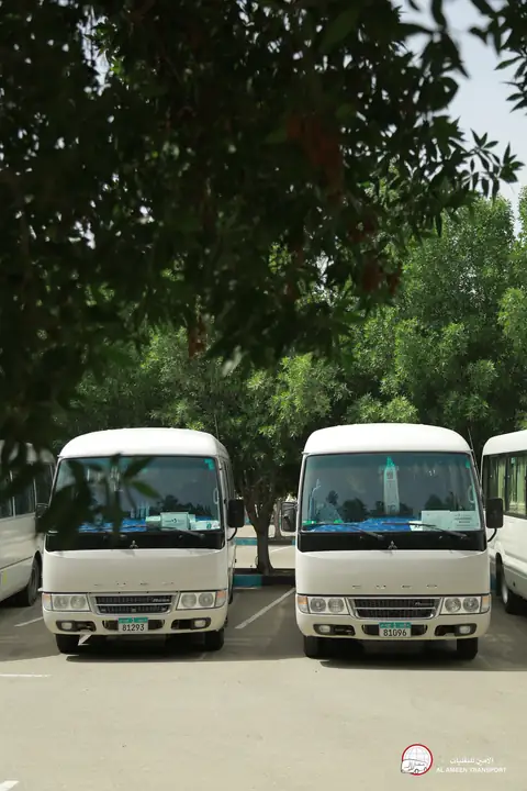 White minibuses under trees with their fronts to the camera